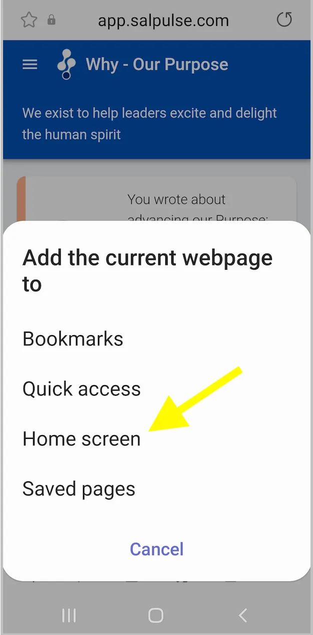 Step 3 to putting a Salpulse icon on your android phone's home screen