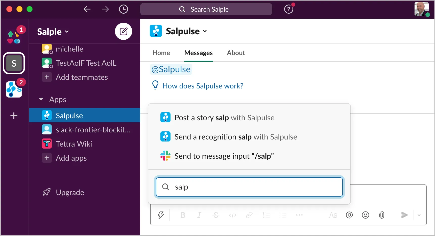 Sending a Salp from within Slack