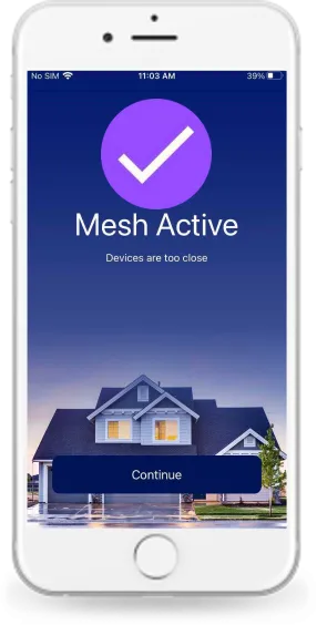 Mesh is setup
