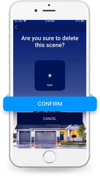 Confirm scene deletion 