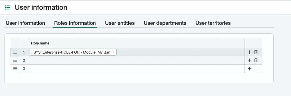 Add Role to the User