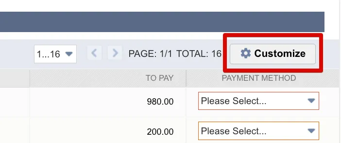 “Customize” button on the Pay Vendor Bills page