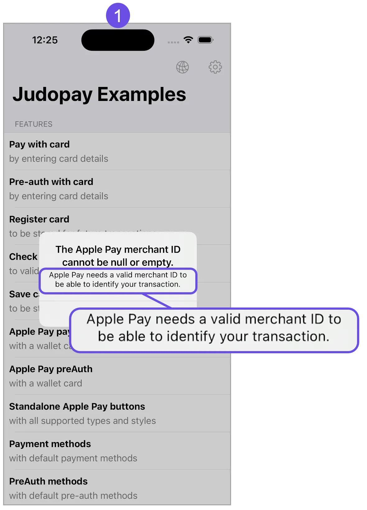 apple pay merchant id error message apple pay merchant id error message