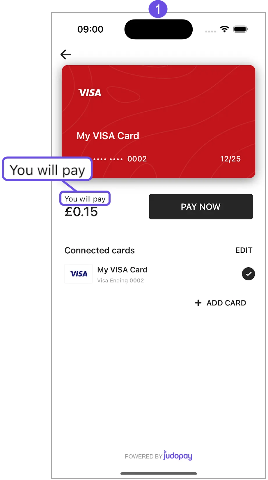 you will pay you will pay