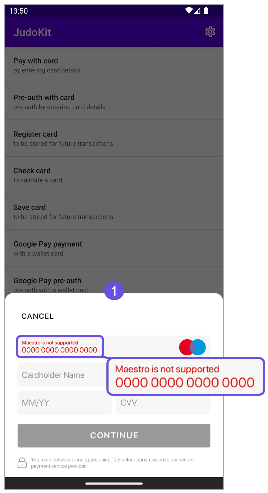 maestro not supported