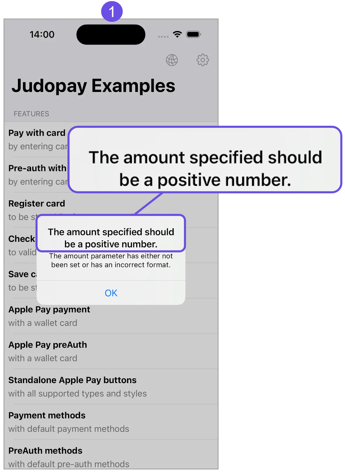 invalid amount title invalid amount title