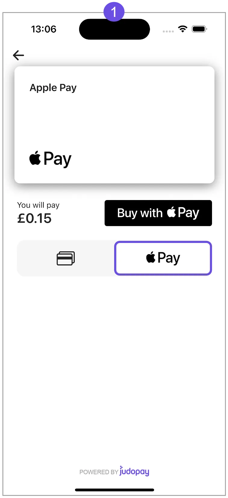 apple pay apple pay