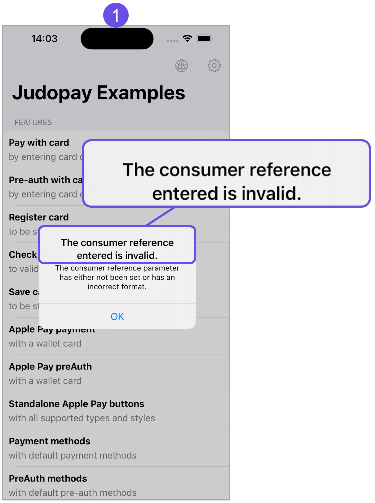 invalid consumer ref title invalid consumer ref title