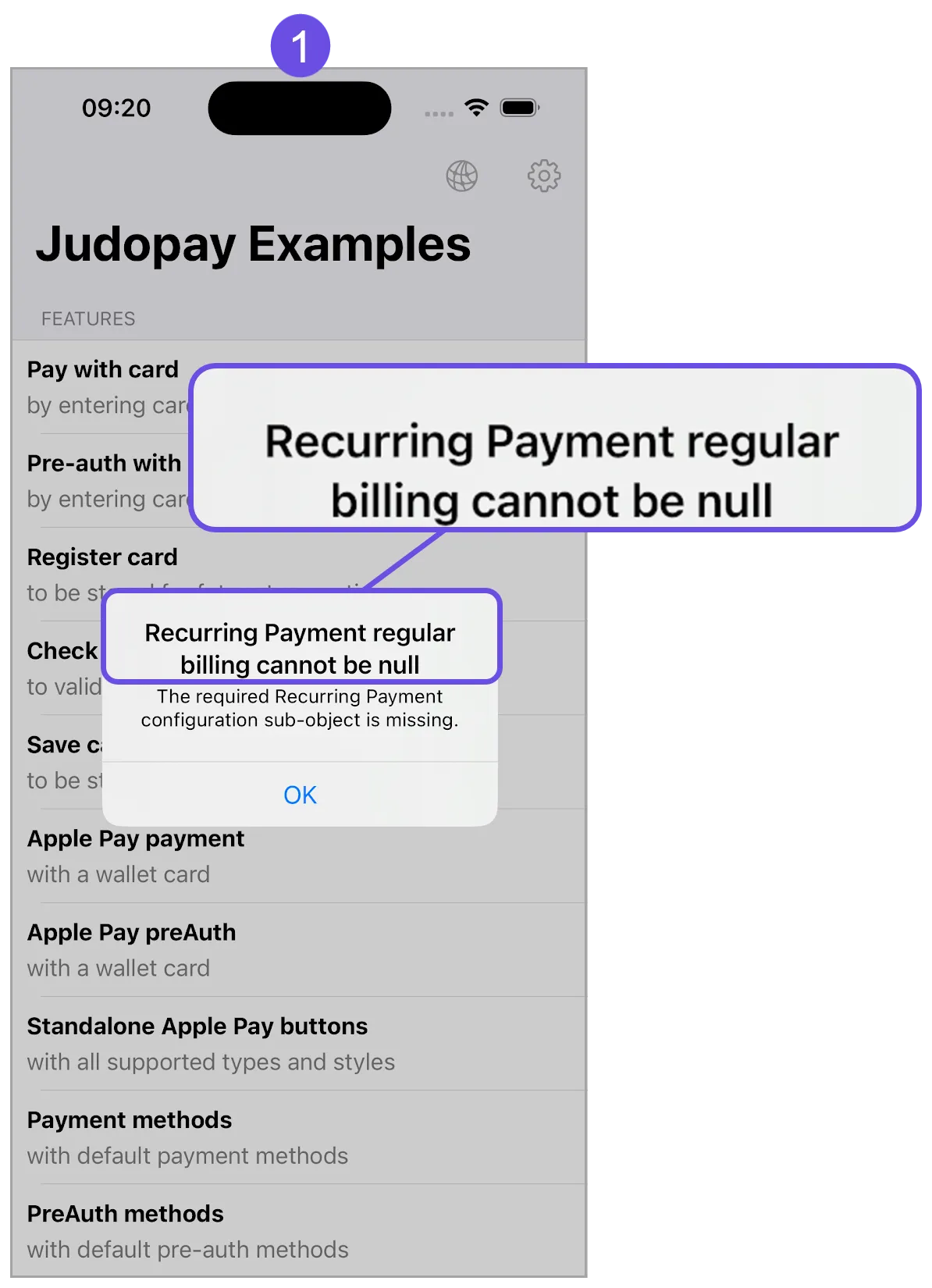 apple pay recurring billing error title apple pay recurring billing error title