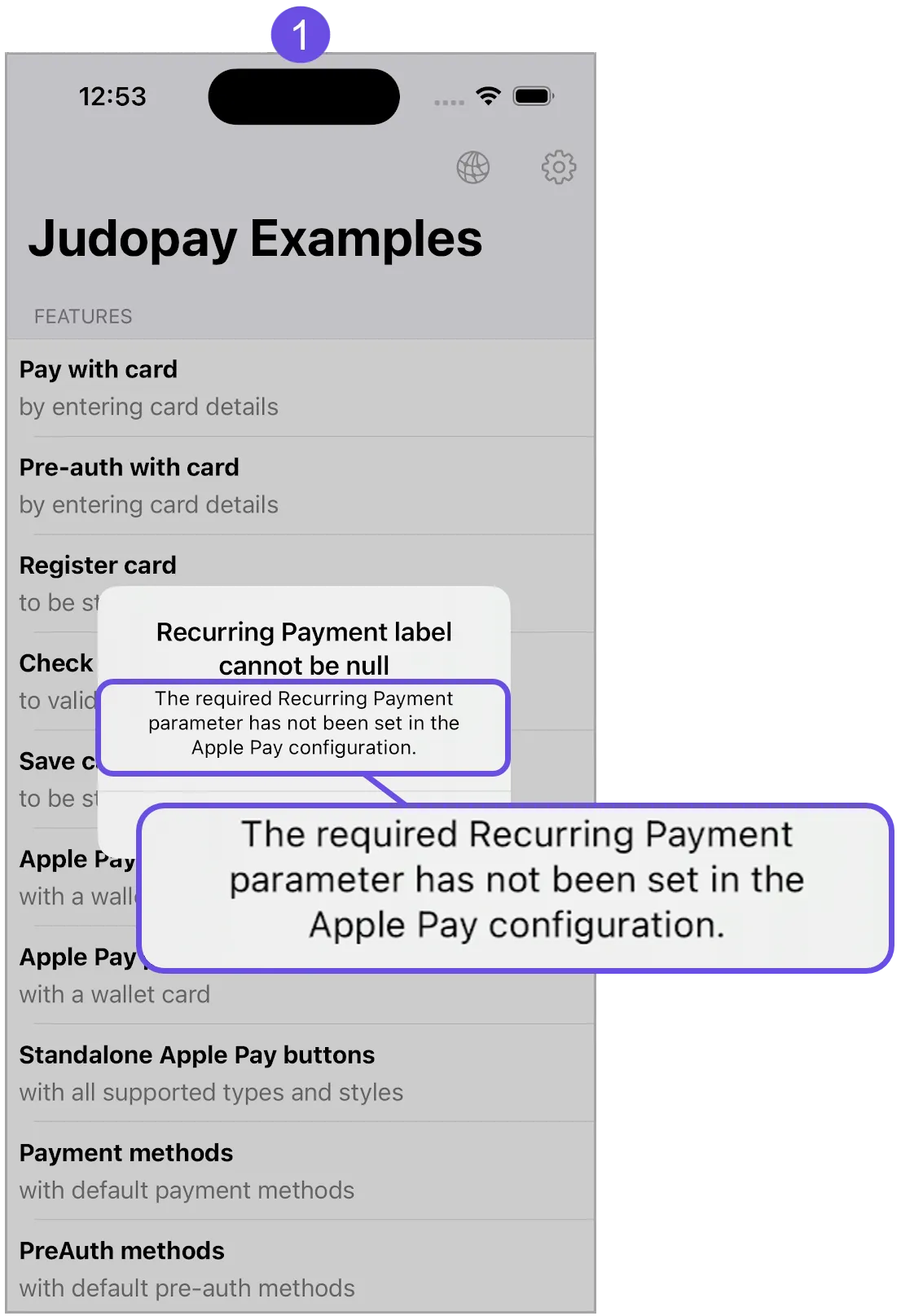 apple pay recurring label error message apple pay recurring label error message