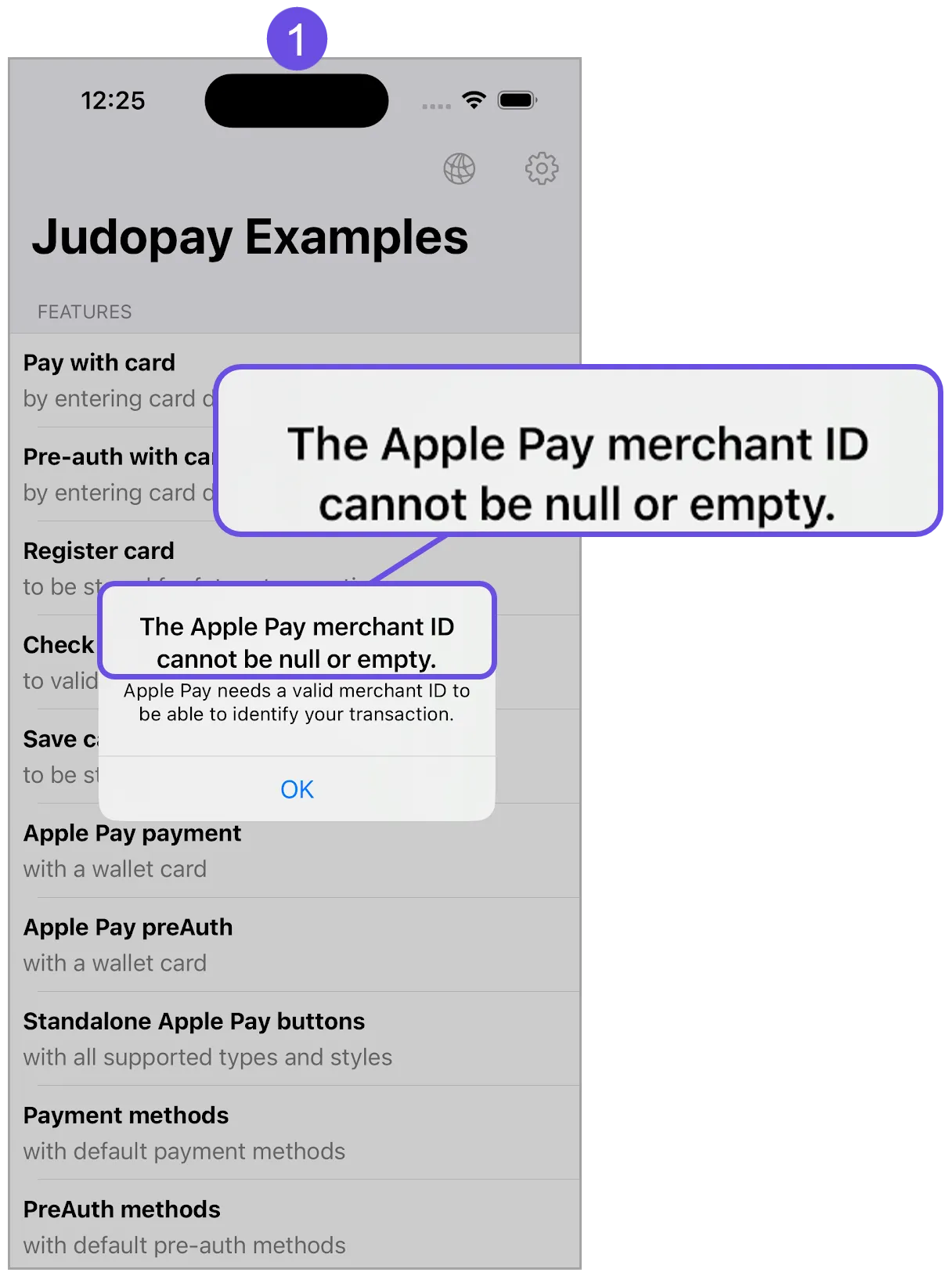 apple pay merchant id error title apple pay merchant id error title