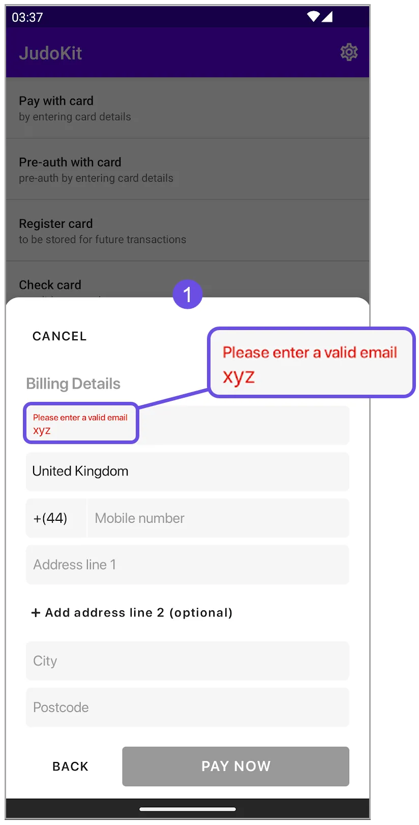 email input error