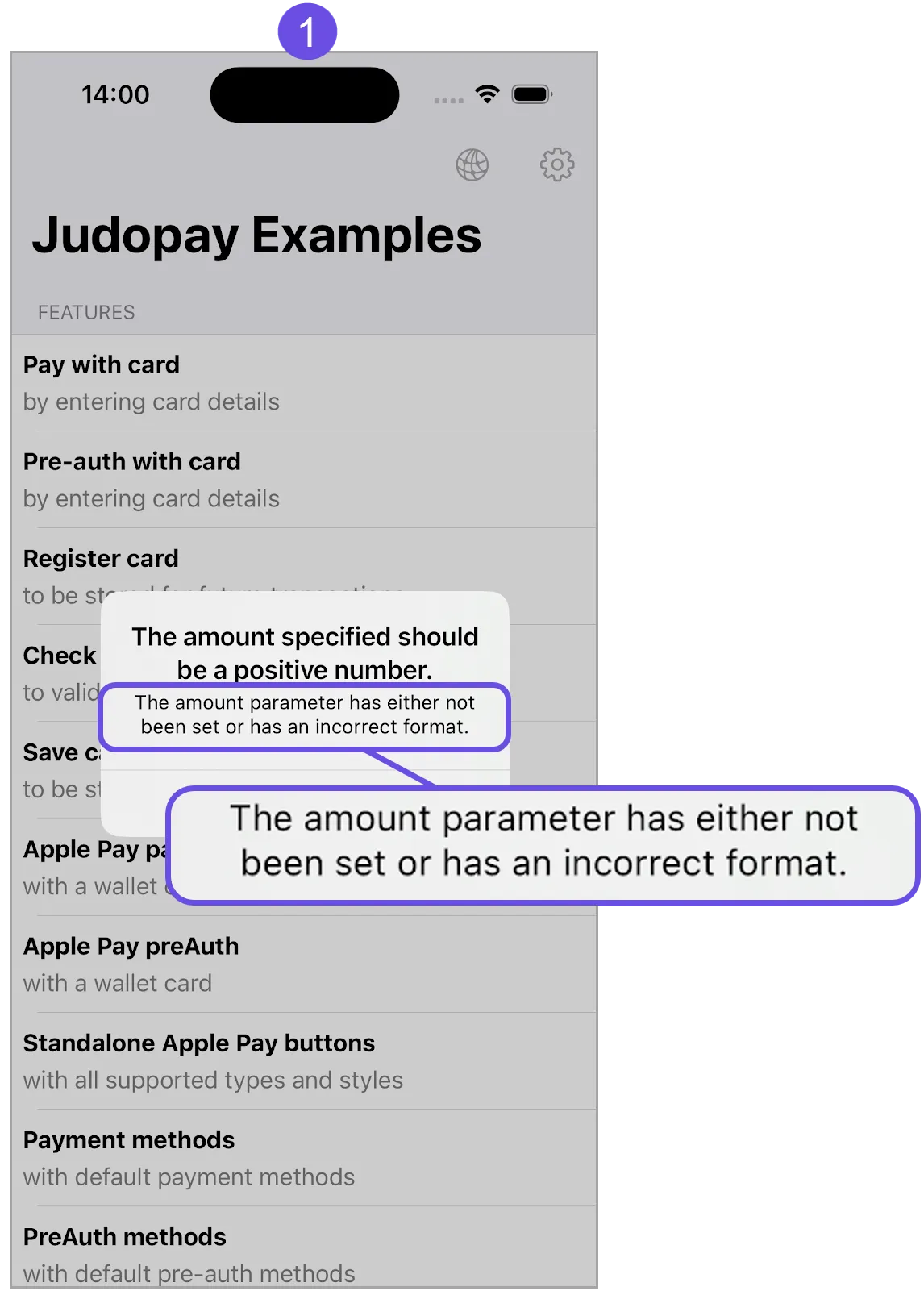 invalid amount message invalid amount message