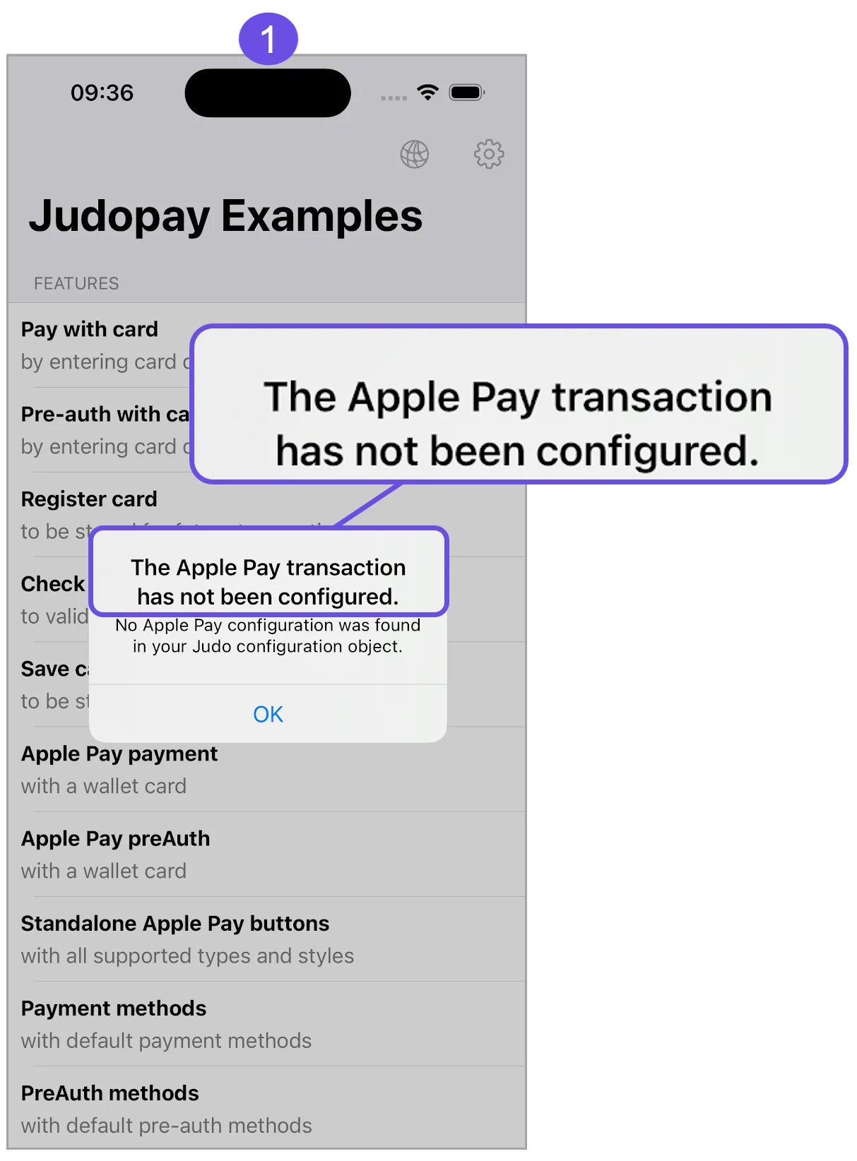 apple apy configuration error title apple apy configuration error title