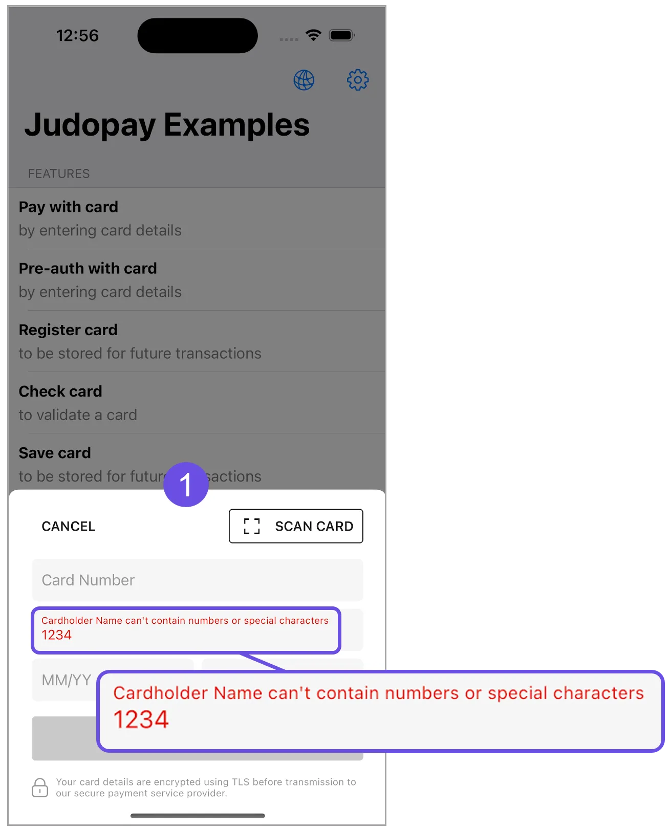 cardholder name special characters cardholder name special characters