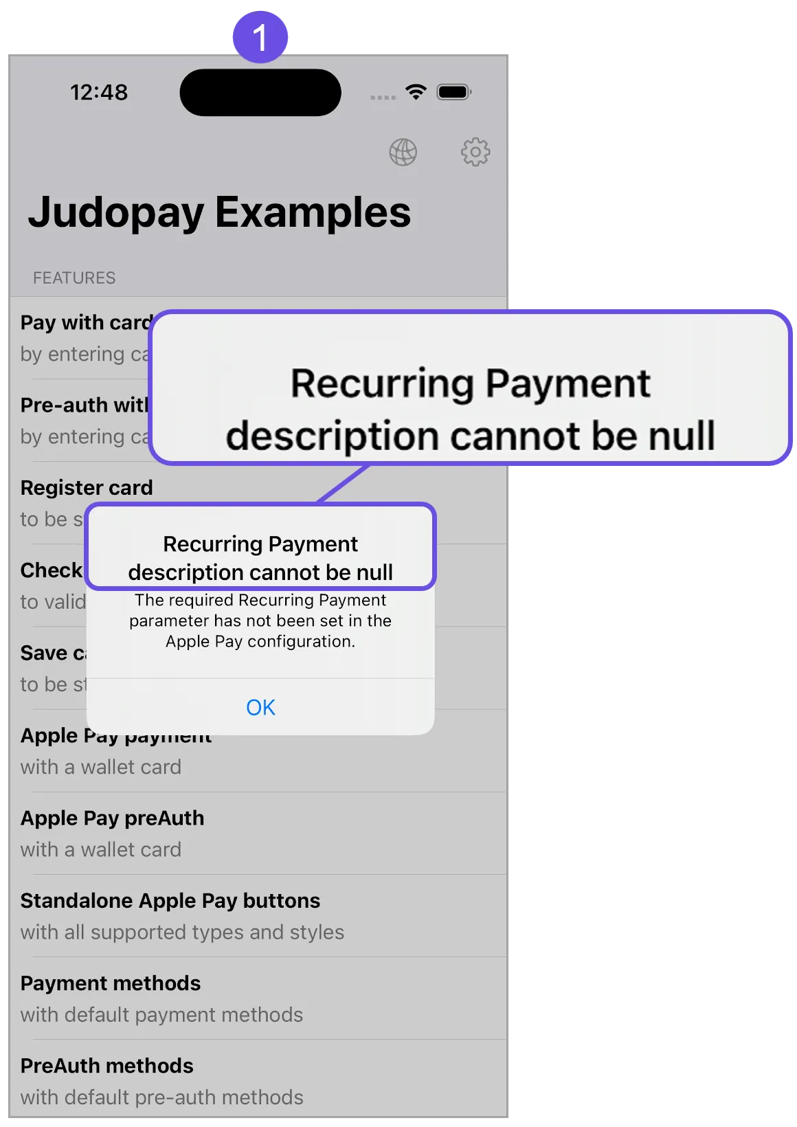 apple pay recurring payment error title apple pay recurring payment error title