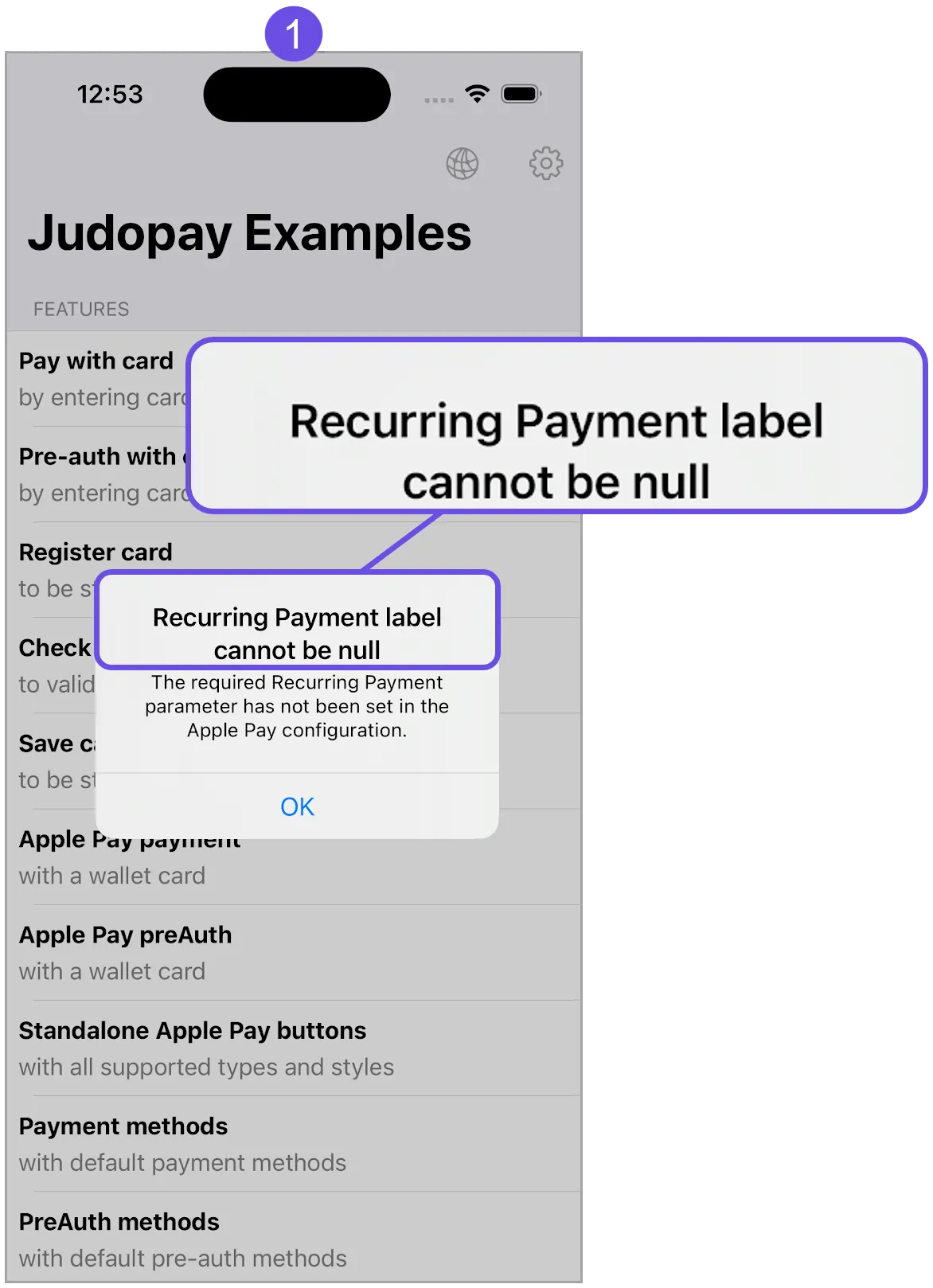 apple pay recurring label error title apple pay recurring label error title