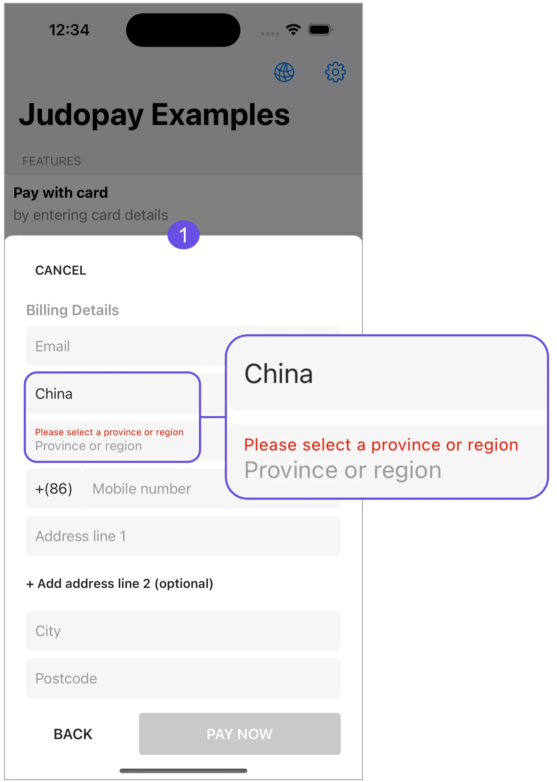 china input error china input error