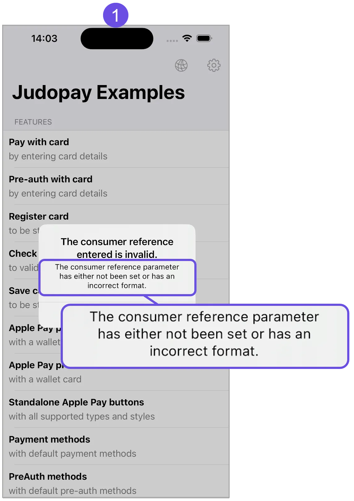 invalid consumer ref message invalid consumer ref message