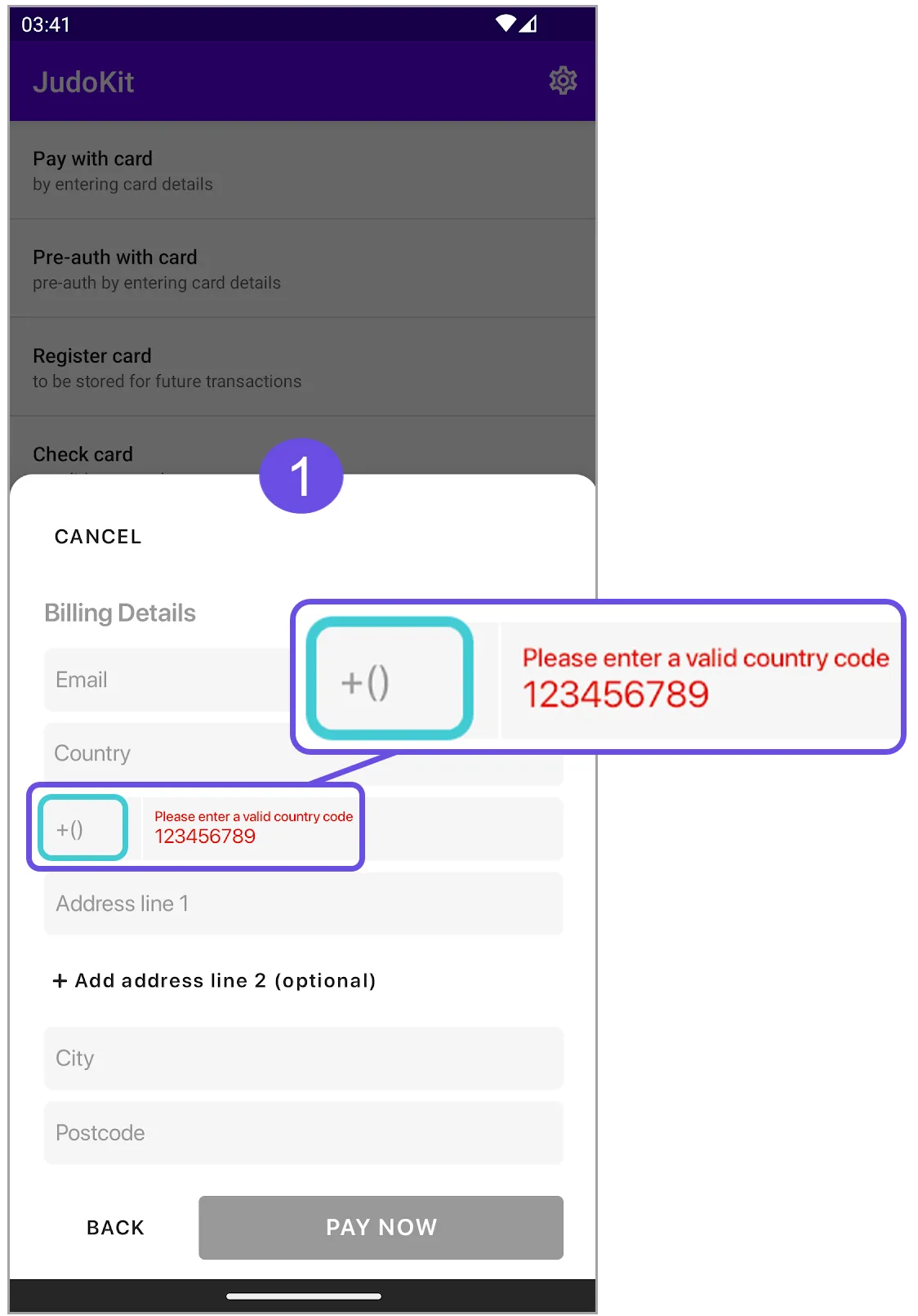 phone code input error