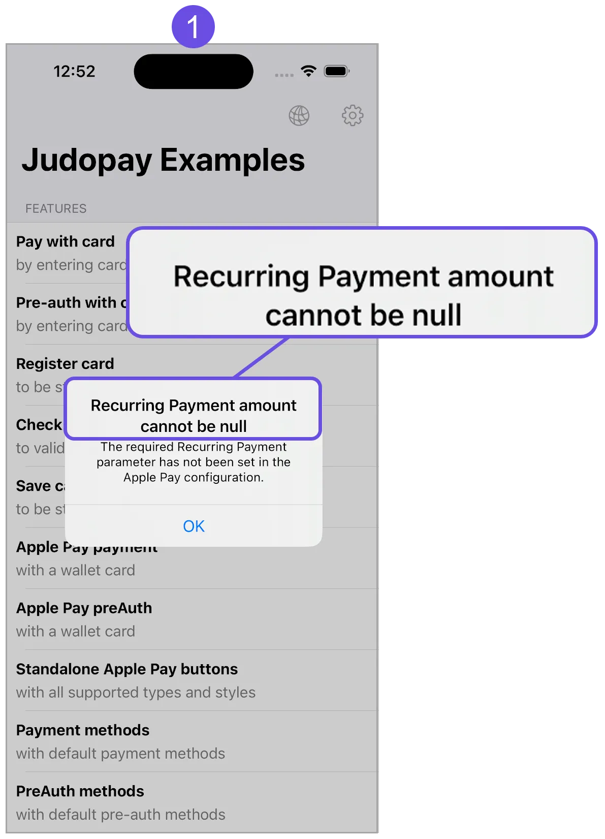apple pay recurring amount error title apple pay recurring amount error title