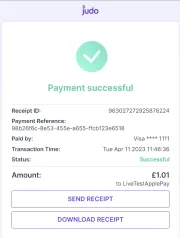 payment successful payment successful