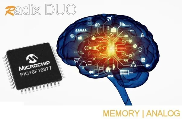 Memory | Analog Memory | Analog