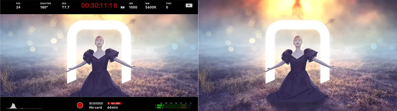 Movie/FX (Left), Broadcast (Right) Movie/FX (Left), Broadcast (Right)