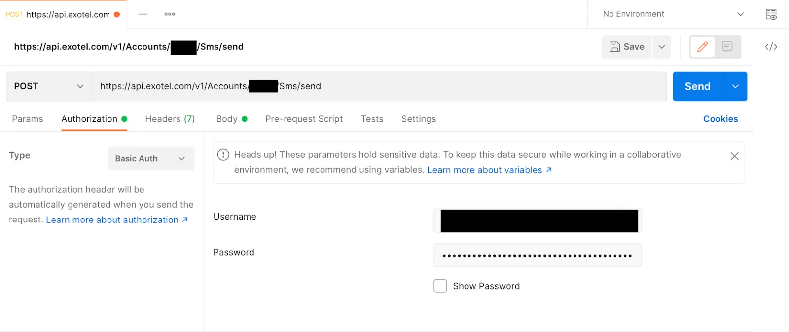 Postman Basic Auth configuration with the API Key and API Token