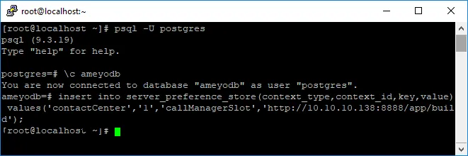 Figure: Commands to enable Call Manager