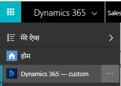 Figure: Dynamics Custom App
