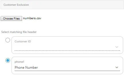 Figure: Upload CSV containing the values of Primary Table Definition field