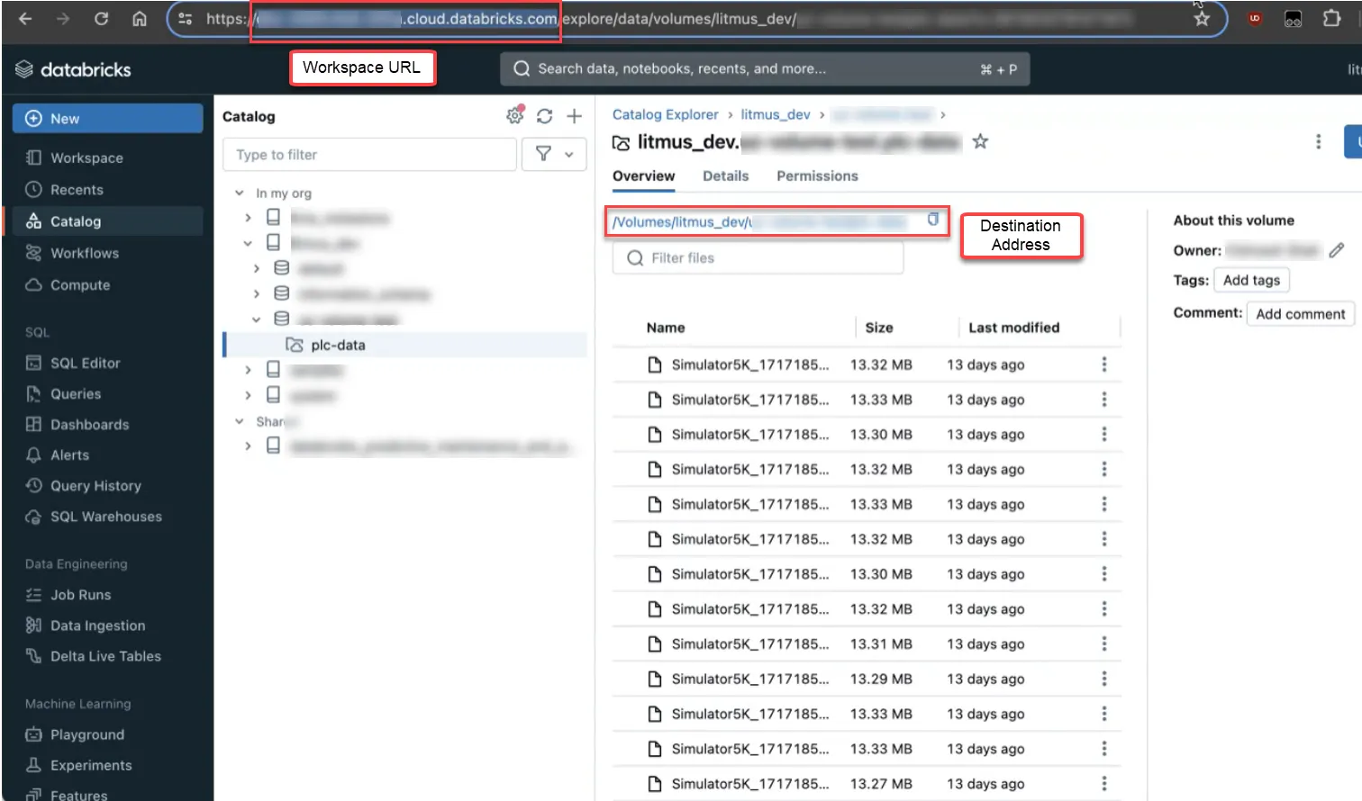 Databricks workspace environment
