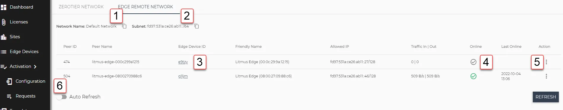 Edge Remote Network tab