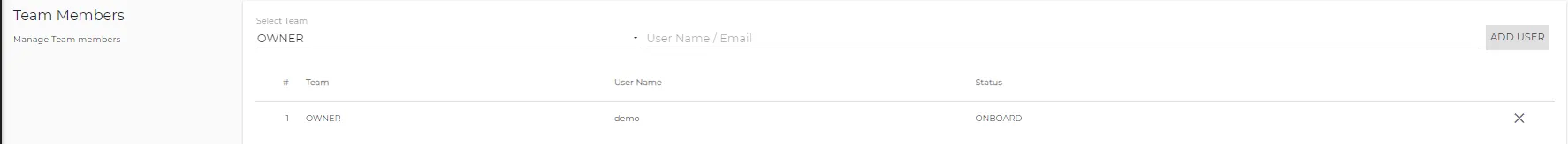 Company tab: Team Members