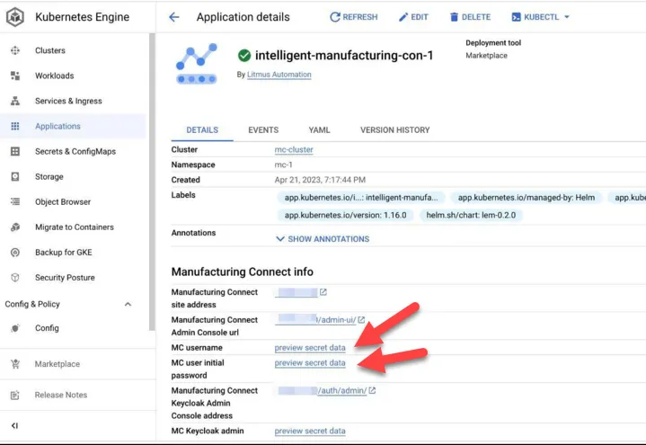GKE Application Details GKE Application Details