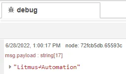 Flow Manager view debug message Flow Manager view debug message