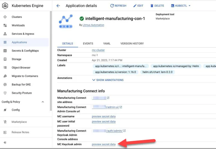 GKE Application Details GKE Application Details