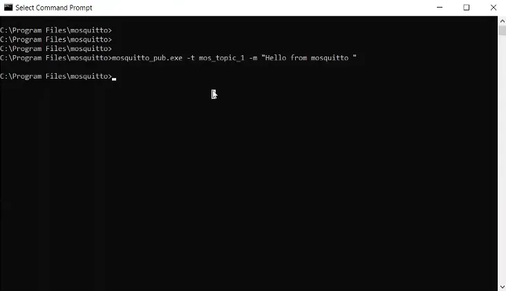 Command prompt window Command prompt window