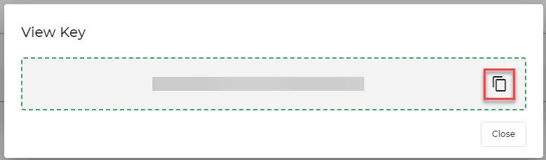 Copy API Key icon