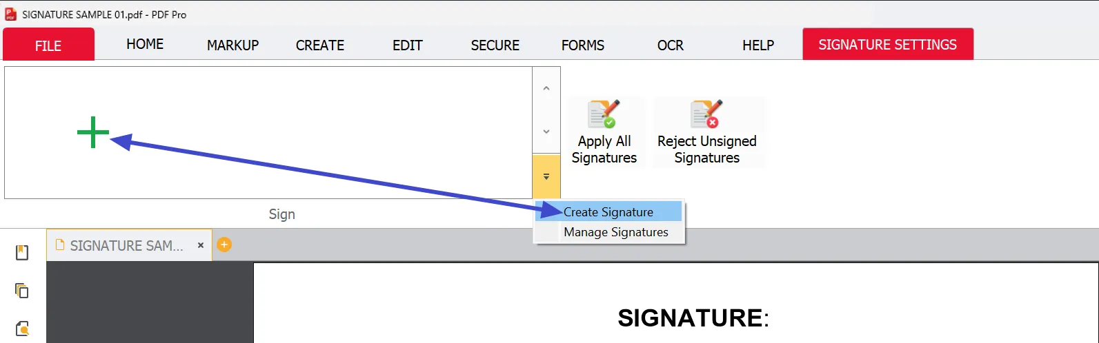 Create Signature menu choices Create Signature menu choices