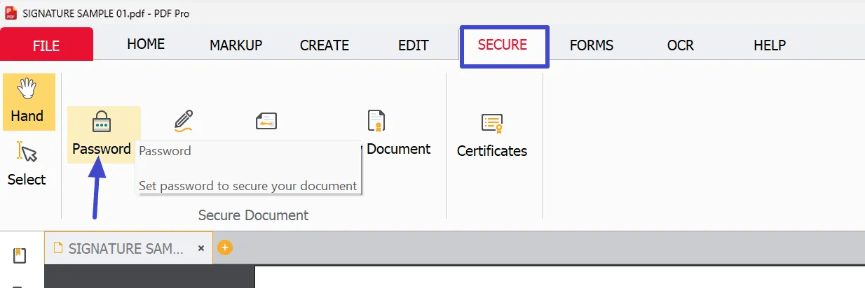 Password Icon