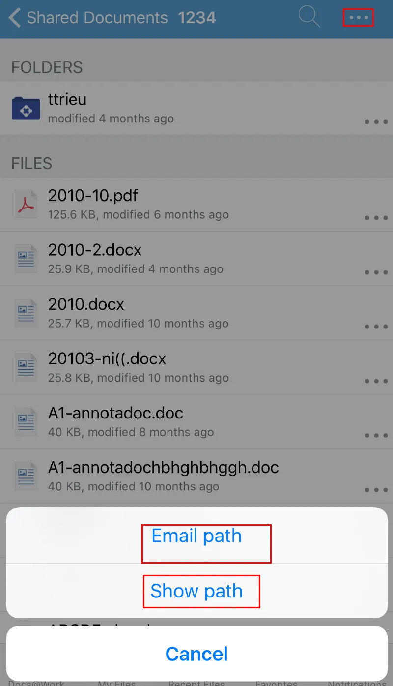 Document image