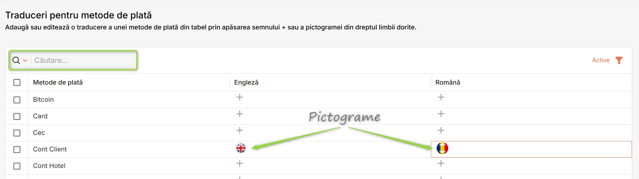 Pagina Traduceri Metode de plată Pagina Traduceri Metode de plată