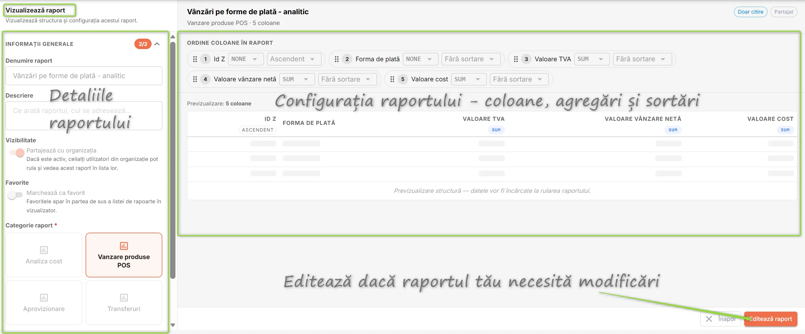 Detaliile (stânga) și configurația raportului (dreapta)
