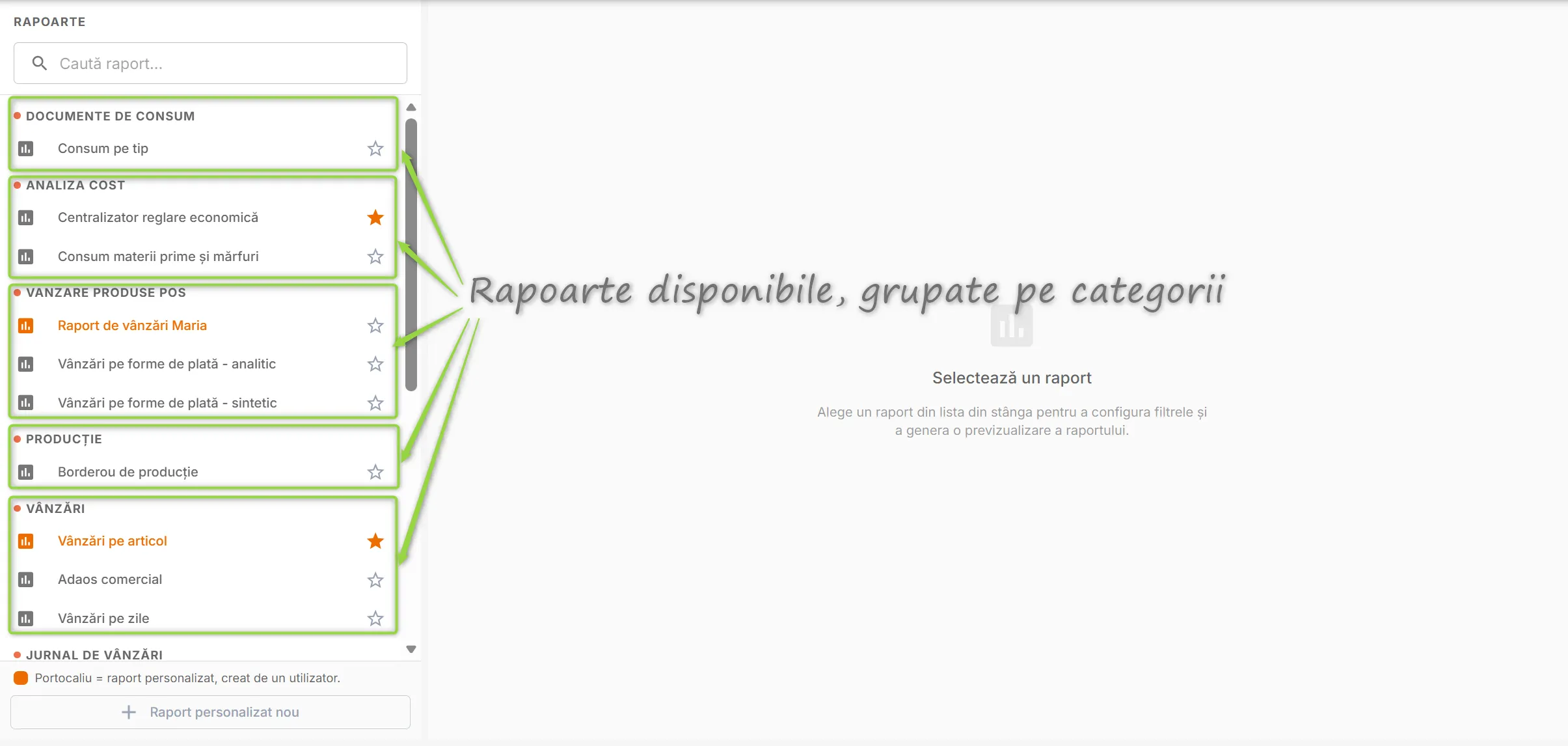 Pagina Rapoarte