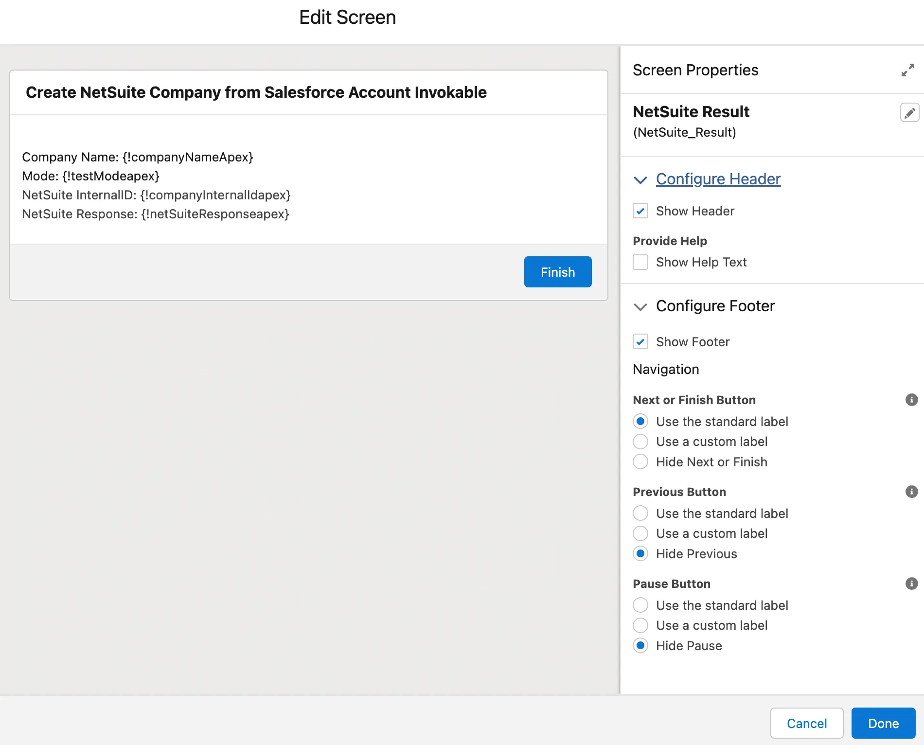 NetSuite Result Screen - Detail View