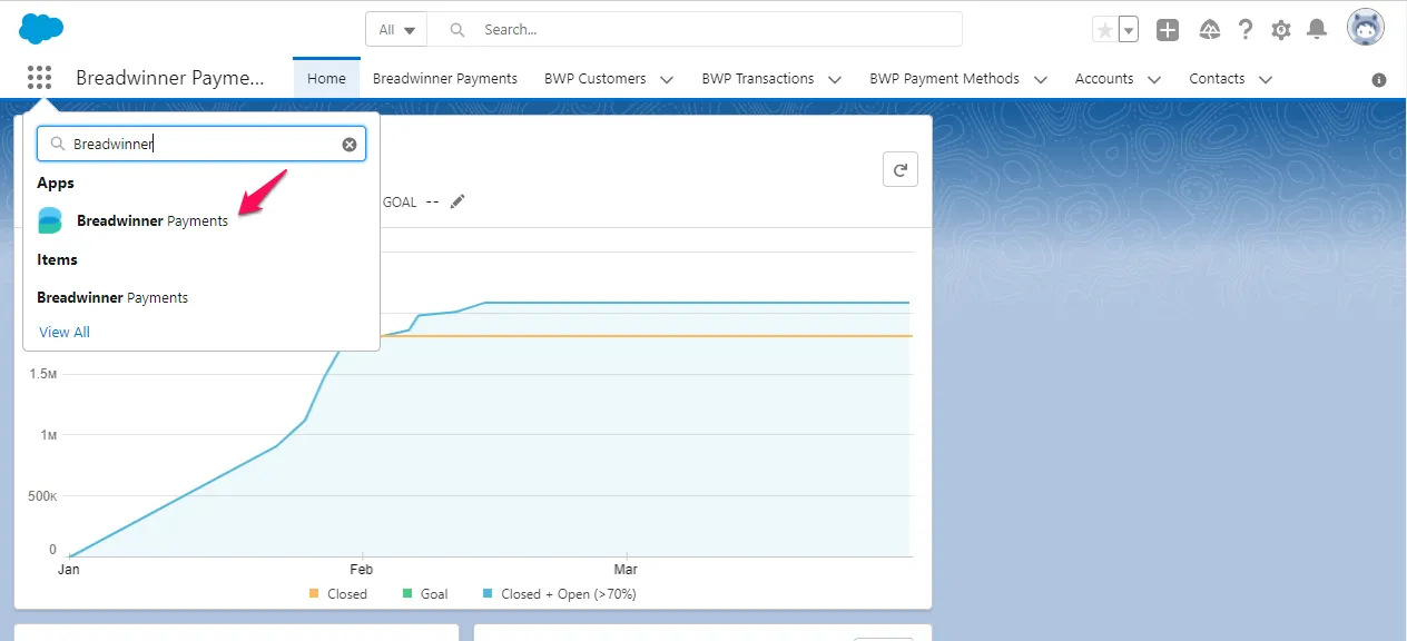Breadwinner Payments App and Tabs