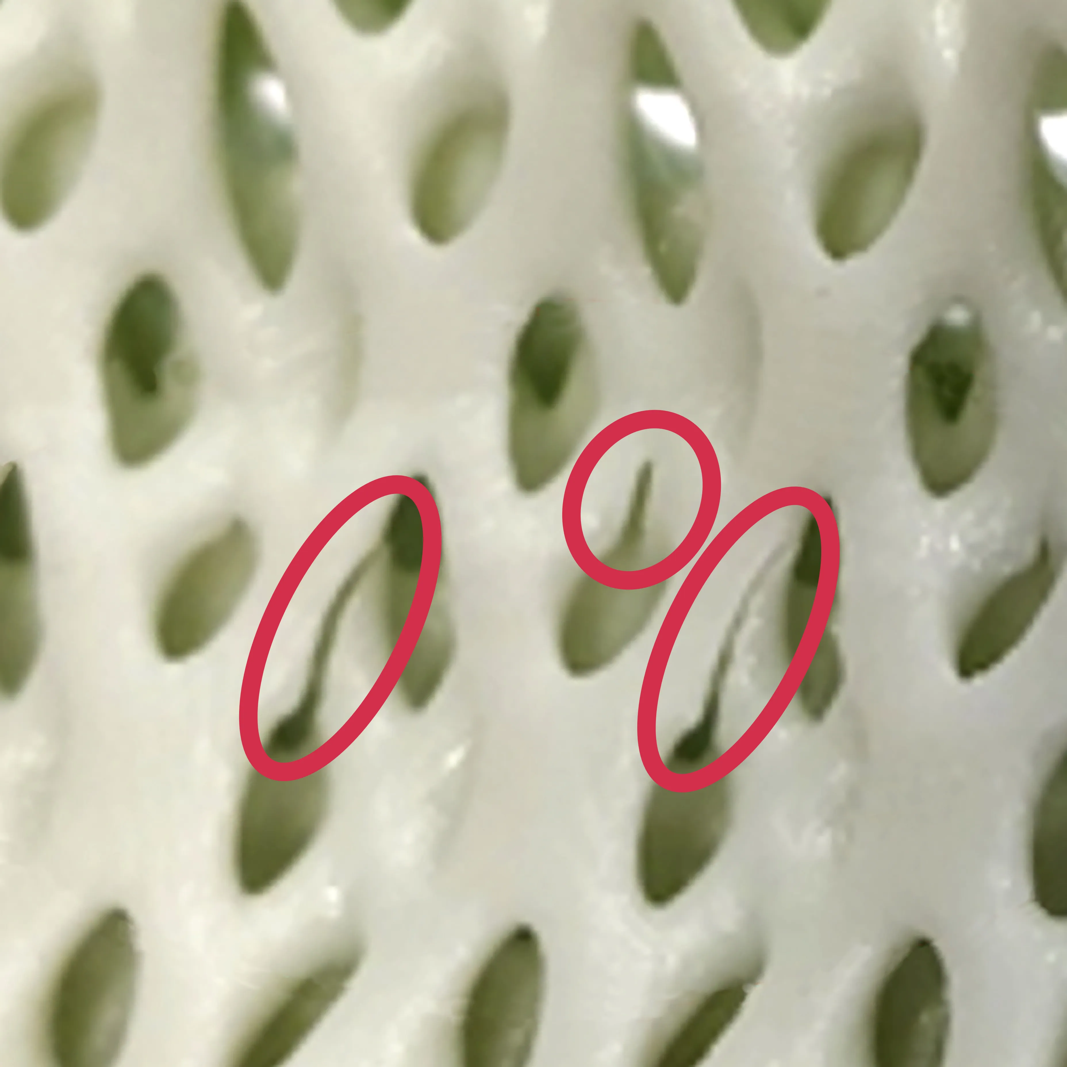 Link block header image