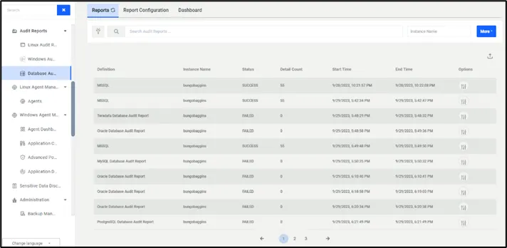 Database Audit Report